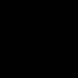 Meet your Posher, Joel